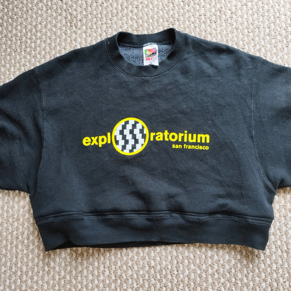 Explore cropped sweater (L)